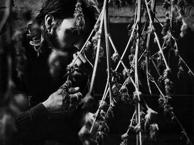 423115_10150630306154374_875477853_n