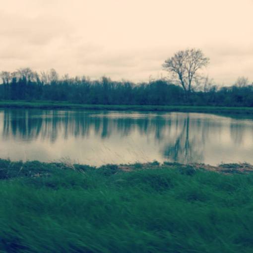 1926783_10152424212344374_4729528076103140100_n