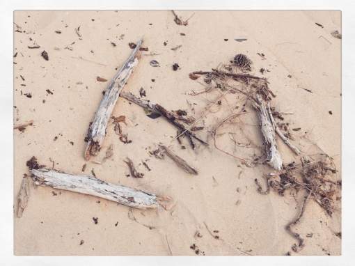 20525875_10155686093349374_5795978831890364270_n