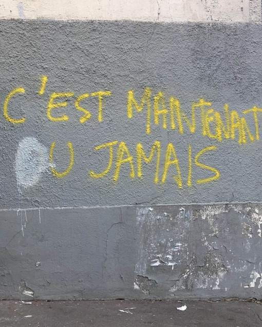 50603738_10157058318084374_5597457081025167360_n